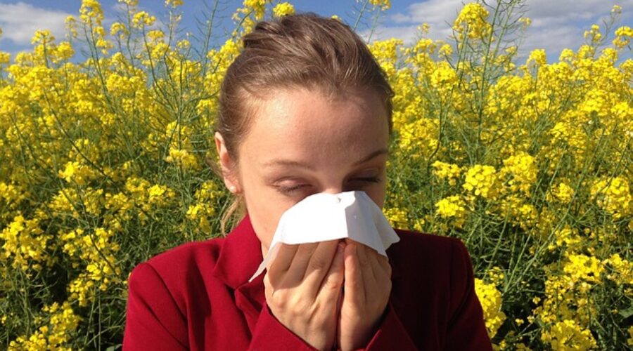 Comment Réduire les Allergènes Domestiques grâce au Nettoyage